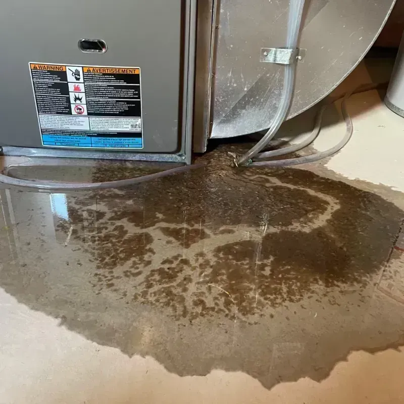 Appliance Leak Cleanup in Rabun County, GA